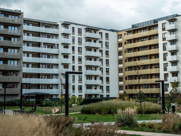 Exploring the Influence of UK Immigration Policy Shifts on Rental Property Demand